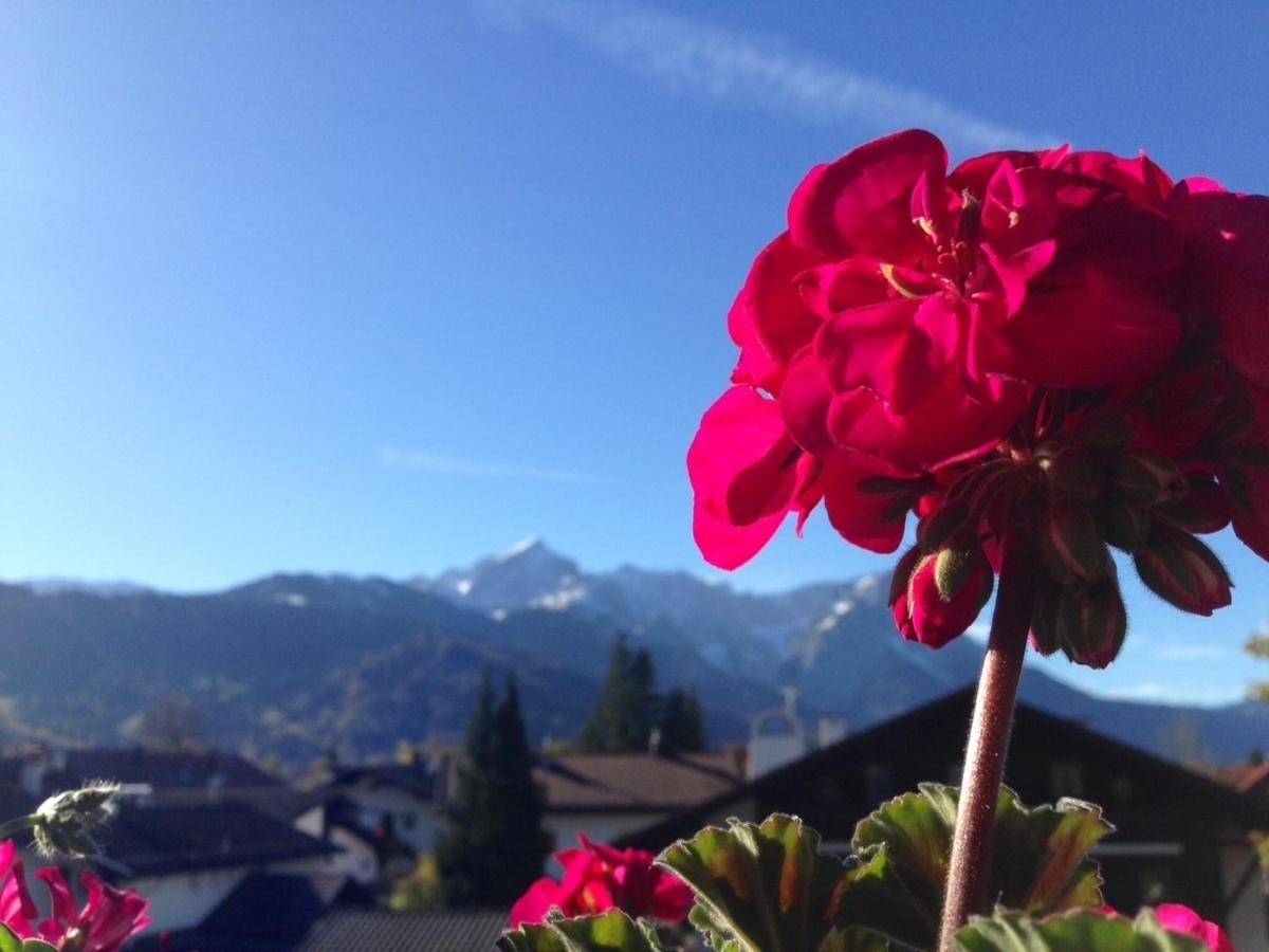 Ferienwohnung Gruss Aus Partenkirchen ガルミッシュ・パルテンキルヒェン 部屋 写真